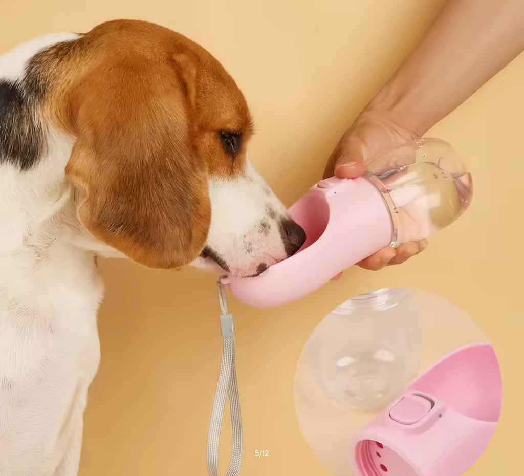 Dog Water Bottle For Pet Dogs Cats Water Feeder Bowls Outdoor Travel Leakproof Puppy Drinking Container Pug Chihuahua Labrador