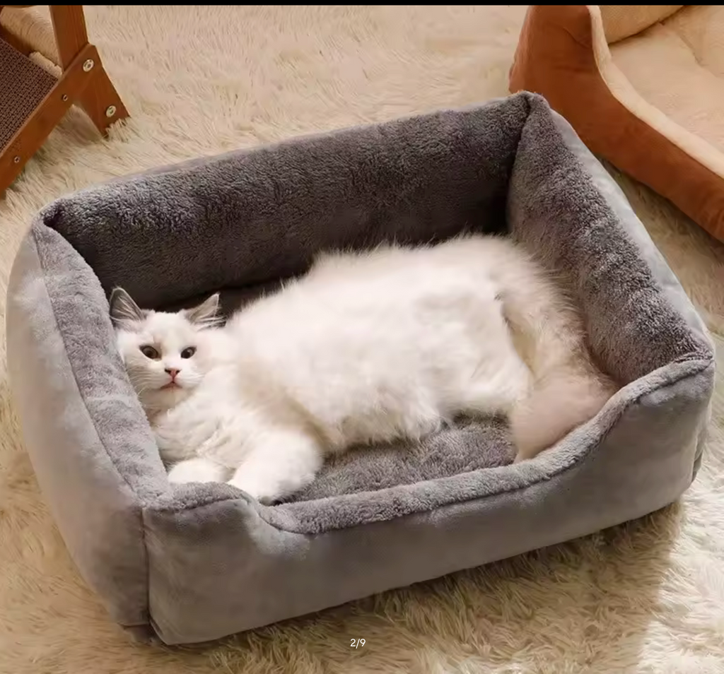 Bed for Cats Pet Products Cushions Kitten Winter Accessories Dog All Houses Supplies Things Accessory Habitats Basket House Beds