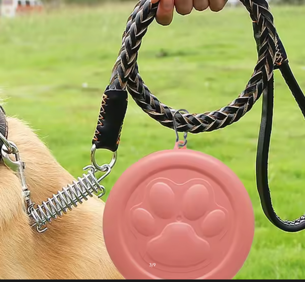 Portable Outdoor Pet Bowl: 2-in-1 Travel Dog Food/Water Dish with Treat Compartment for Hiking, Camping, and On-the-Go Feeding